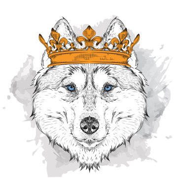 El taç Resim Portre husky çizin. Afrika / hint / totem / dövme tasarımı. Baskı, posterler, tişörtler için kullanın. El çizim vektör illüstrasyon