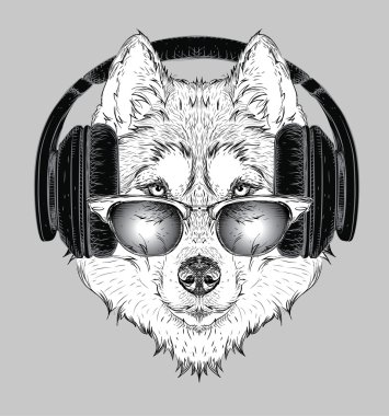Husky gözlük ve kulaklık. Vektör çizim.