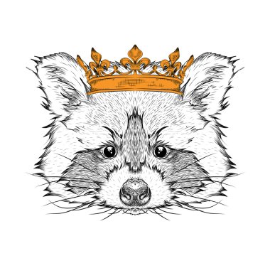 El taç görüntü portre Rakun çizin. Baskı, poster, tişört için kullanın. El çizmek vektör çizim