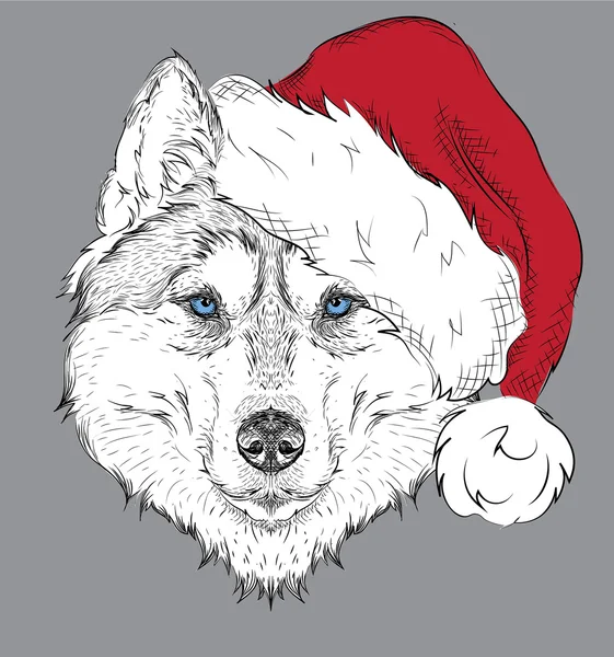 Vánoční plakát s husky výšku obrazu v Santa klobouk. Ruční kreslení vektorové ilustrace. — Stockový vektor