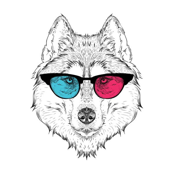 Portrait du husky dans les lunettes de couleur. Pense différemment. Illustration vectorielle . — Image vectorielle