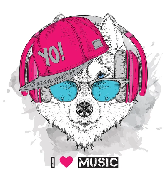 Het beeld van de Husky in de bril, hoofdtelefoon en in hip-hop hoed. Vector illustratie. — Stockvector