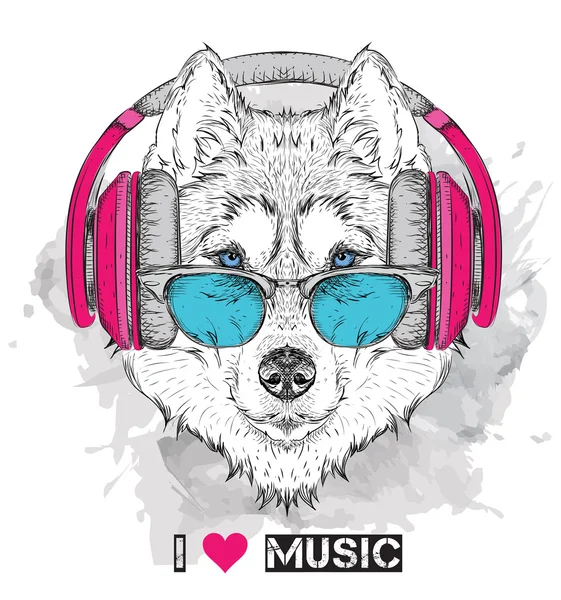 Husky in glasses and headphones. Vector illustration. — Stock Vector