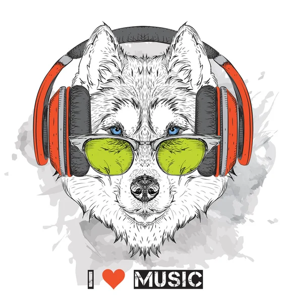 Husky en gafas y auriculares. Ilustración vectorial . — Vector de stock