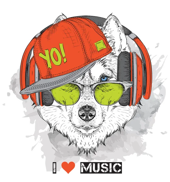 Das Bild des Huskys mit Brille, Kopfhörer und Hip-Hop-Hut. Vektorillustration. — Stockvektor