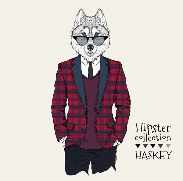Ceket, pantolon ve kazak giymiş husky hipster İllüstrasyon. Vektör çizimi