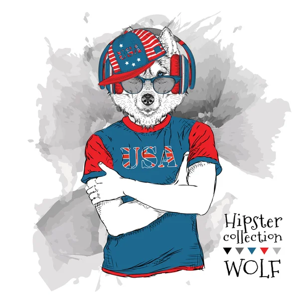 Illustration de loup habillé dans les lunettes et dans le t-shirt avec l'impression du drapeau des États-Unis. Illustration vectorielle . — Image vectorielle
