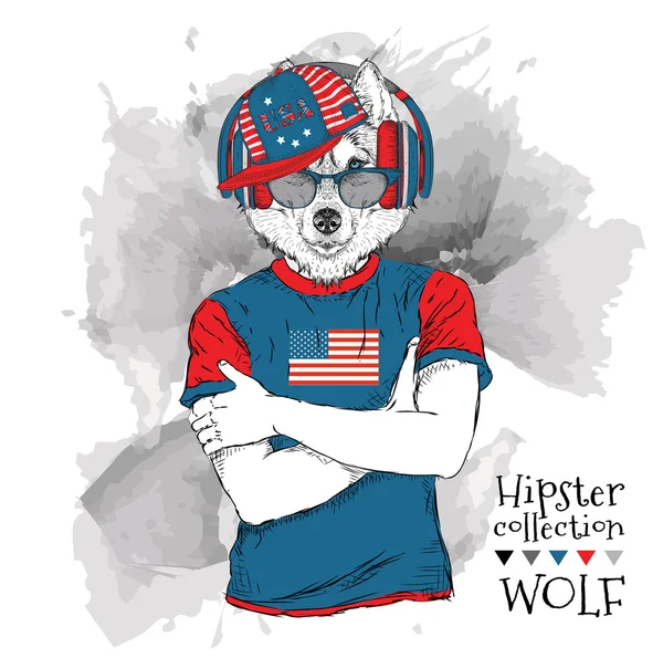 Ilustracja Wilk ubrany w okulary i w t-shirt z nadrukiem flagi USA. Ilustracja wektorowa. — Wektor stockowy