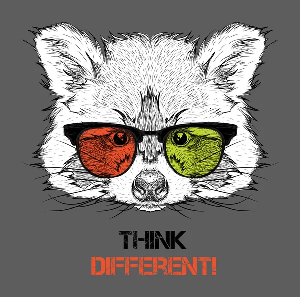 Retrato do guaxinim nos óculos coloridos. Pensa diferente. Ilustração vetorial . —  Vetores de Stock