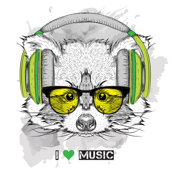 Raccoon in glasses and headphones. Vector illustration. — Stock Vector