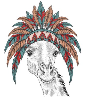 Rengarenk Hint hamamböceğinde zürafa. Kartalın tüy başlığı. El çizim vektör illüstrasyon