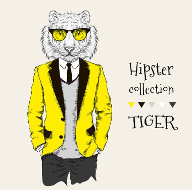 Ceket, pantolon ve kazak giymiş kaplan hipster İllüstrasyon. Vektör çizimi