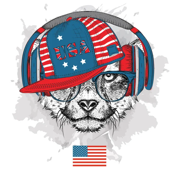 Ilustración de guepardo en gafas, auriculares y sombrero de hip-hop con estampado de USA. Ilustración vectorial . — Archivo Imágenes Vectoriales