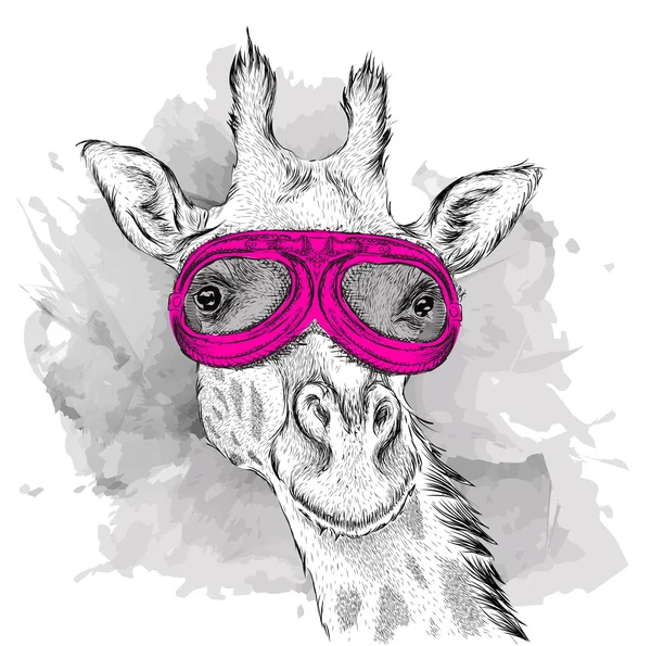 Portrait of a giraffe in motorcycle glasses. Vector illustration — Stock Vector