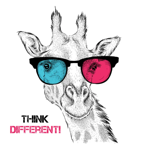 Portrait de la girafe dans les lunettes de couleur. Pense différemment. Illustration vectorielle . — Image vectorielle