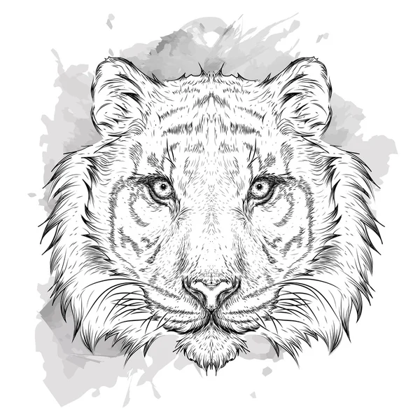 Retrato de tigre desenhado à mão. Desenho manual ilustração vetorial — Vetor de Stock