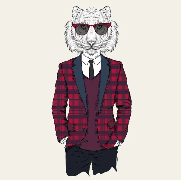 Ceket, pantolon ve kazak giymiş kaplan hipster İllüstrasyon. Vektör çizimi