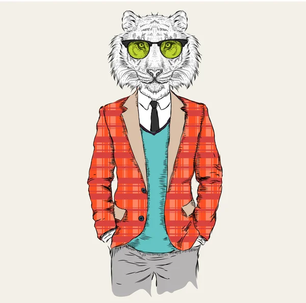 Ilustración de tigre hipster vestido con chaqueta, pantalones y suéter. Ilustración vectorial — Archivo Imágenes Vectoriales