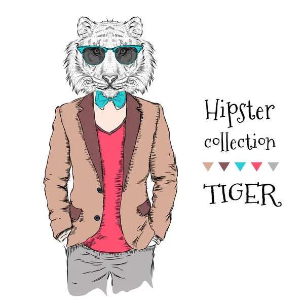 Ceket, pantolon ve kazak giymiş kaplan hipster İllüstrasyon. Vektör çizimi