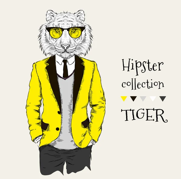 Ceket, pantolon ve kazak giymiş kaplan hipster İllüstrasyon. Vektör çizimi