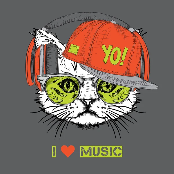 Gözlüklü, kulaklık ve hiphop şapkalı kedi görüntüsü. Vektör çizim