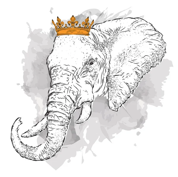 Ručně nakreslit obraz Portrét slona v koruně. Používá se pro tisk, plakáty, trička. Ruční kreslení vektorové ilustrace — Stockový vektor