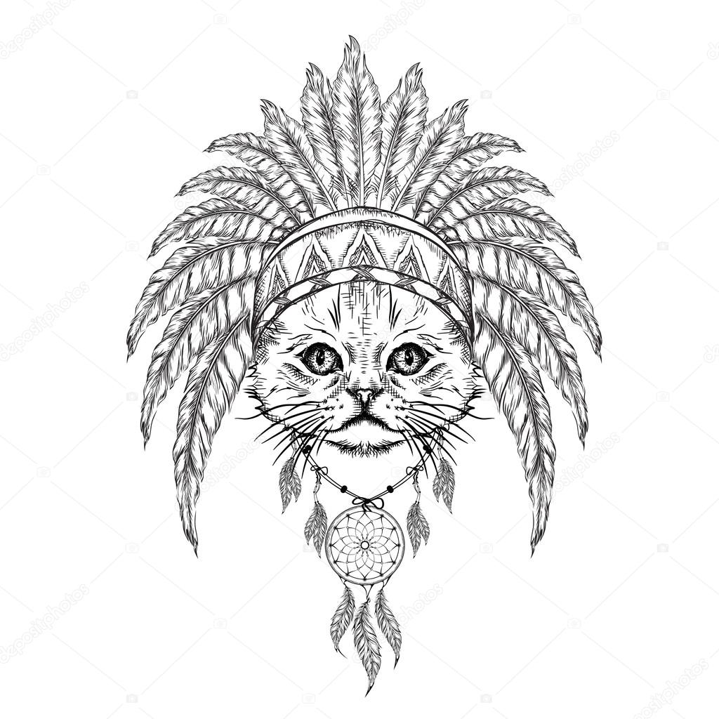 Hint hamamböceğindeki kedi. Kartalın Hint tüyü başlığı. El çizim vektör