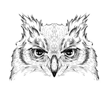 Görüntü portre baykuş. Afrika / Hint / totem / dövme tasarım. Baskı, poster, tişört için kullanın. El çizmek vektör çizim