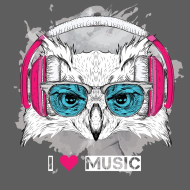  Gözlük ve kulaklık baykuş görüntüsü. Vektör çizim. 