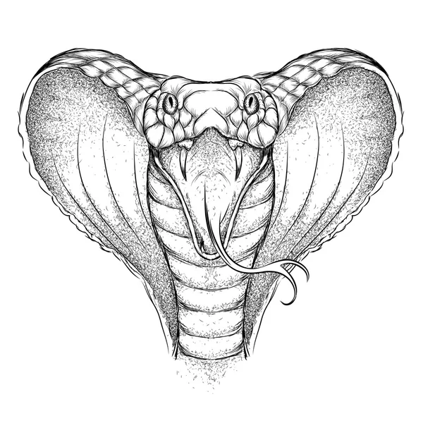 Dibuja a mano al rey Cobra. Ilustración vectorial — Archivo Imágenes Vectoriales