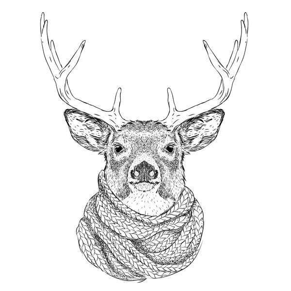 Portrait of deer in a winter scarf. Vector illustration — Stock Vector