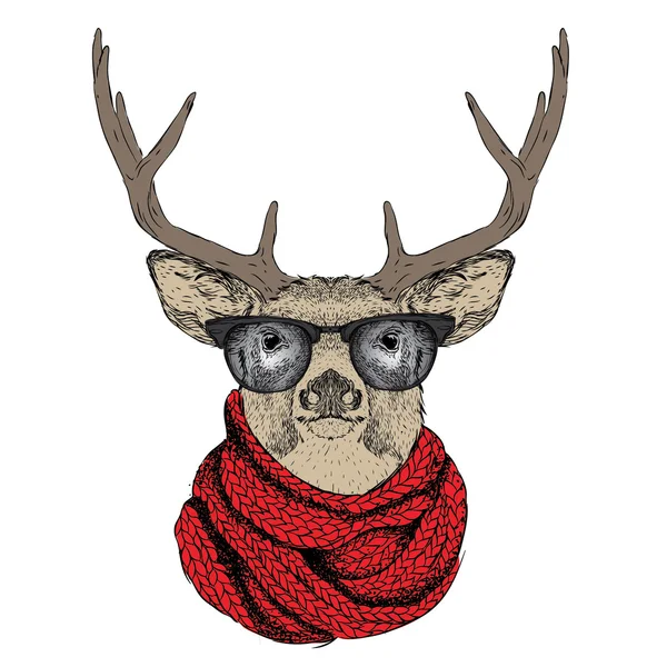 Portrait of deer in a winter scarf. Vector illustration — Stock Vector