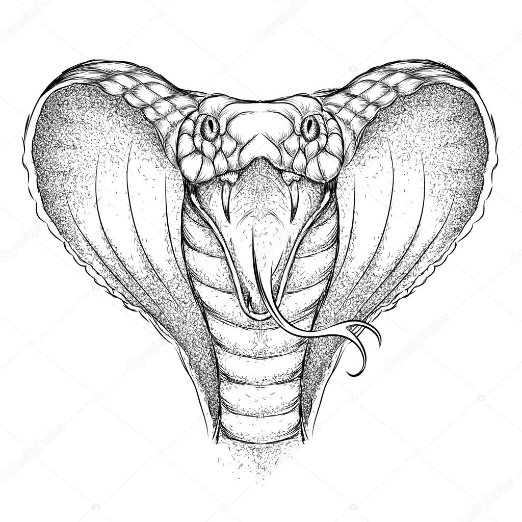 Hand draw King Cobra. Vector illustration