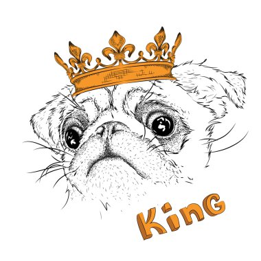 Taç pug el çizmek. Baskı, posterler, tişörtler için kullanın. Vektör çizimi