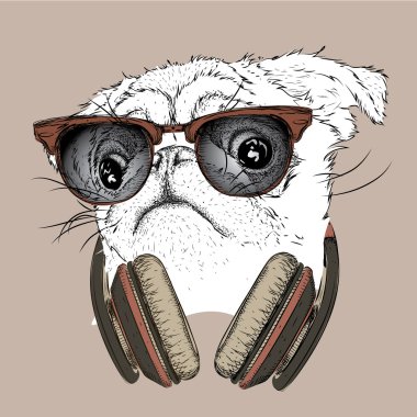 Gözlük ve kulaklık pug. Vektör çizim.