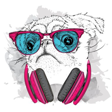 Gözlük ve kulaklık pug. Vektör çizim.