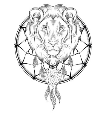 Aslan hint savaşçı, hayvan el çizilmiş illüstrasyon, yerli Amerikan posteri. El çizim vektör illüstrasyon