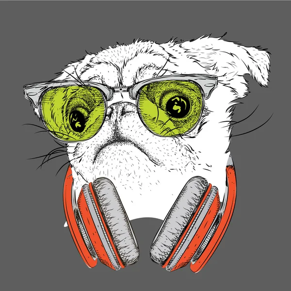 Pug en gafas y auriculares. Ilustración vectorial . — Vector de stock