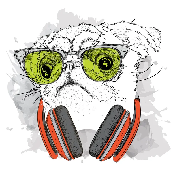 Pug dans les lunettes et les écouteurs. Illustration vectorielle . — Image vectorielle