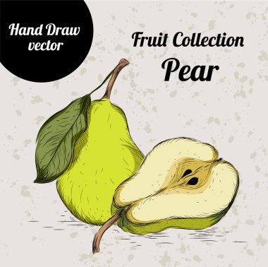 El çekilmiş renkli kroki armut. Vintage Eko gıda vektör çizim.