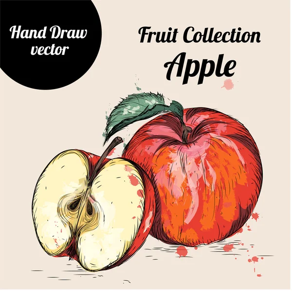 Elle çizilmiş suluboya kroki elma. Vintage Eko gıda vektör çizim.