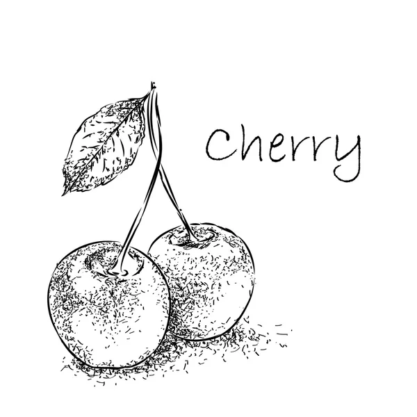 手描きのスケッチは桜。ビンテージのエコ食品のベクトル図. — ストックベクタ