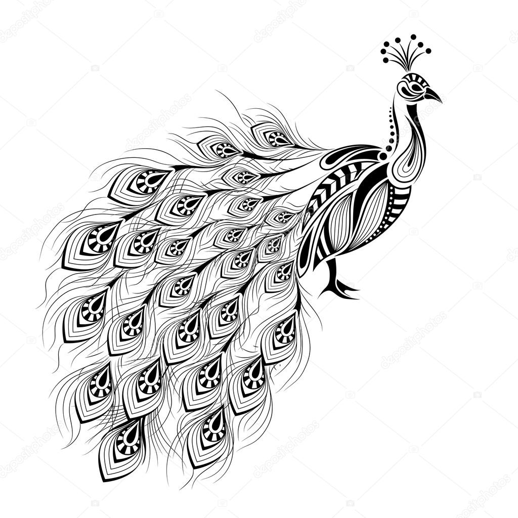 Patterned colored peacock. African / indian / totem / tattoo design. It may  be used for design of a t-shirt, bag, postcard and poster. Stock Vector  Image by ©mountain_inside #121708034