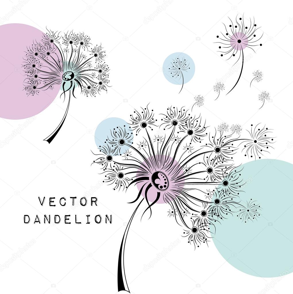 Hand draw dandelion. African / indian / floral / tattoo design. It may be used for design of a t-shirt, bag, postcard and poster.