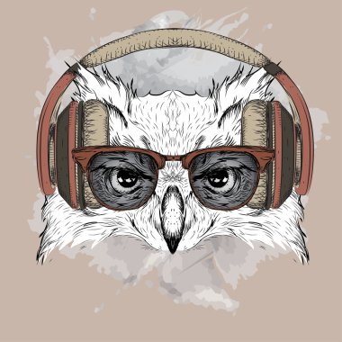 Gözlük ve kulaklık baykuş görüntüsü. Vektör çizim.