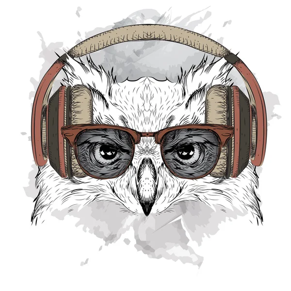 猫头鹰在眼镜和耳机的形象。矢量图. — 图库矢量图片