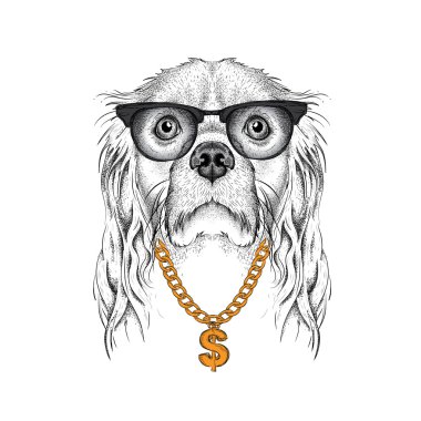 El glasse içinde yavru horoz İspanyol portre çizmek. Vektör çizim