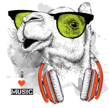 The image of the camel in the glasses, headphones and in hip-hop hat. Vector illustration. clipart