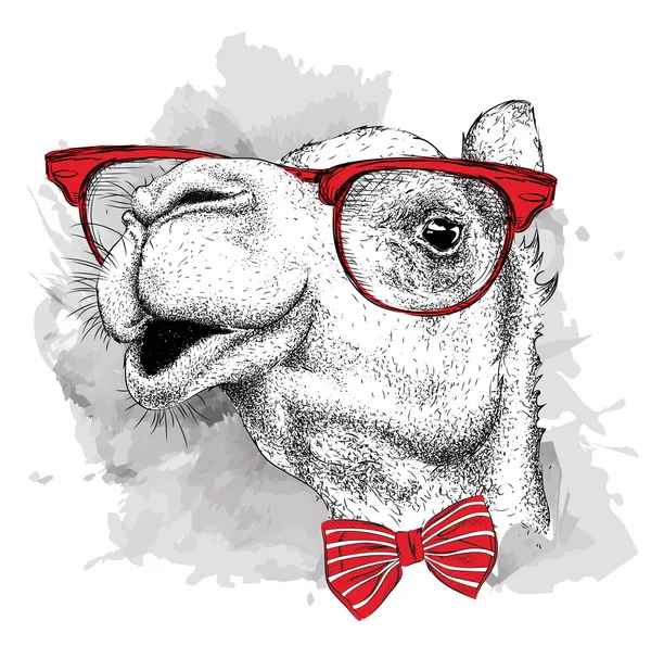 Bild-Porträt Kamel in Krawatte und mit Brille. Vektorillustration. — Stockvektor