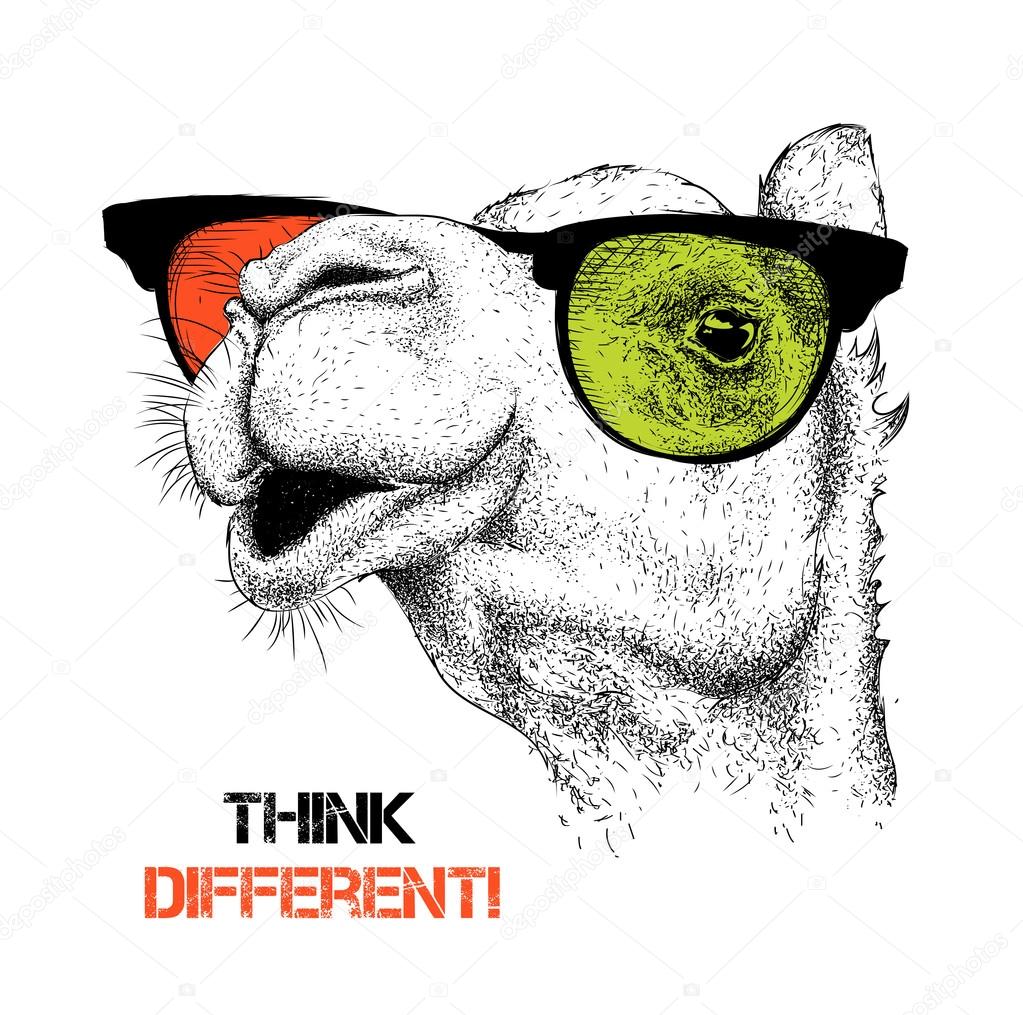 Portrait of the camel in the colored glasses. Think different. Vector illustration.